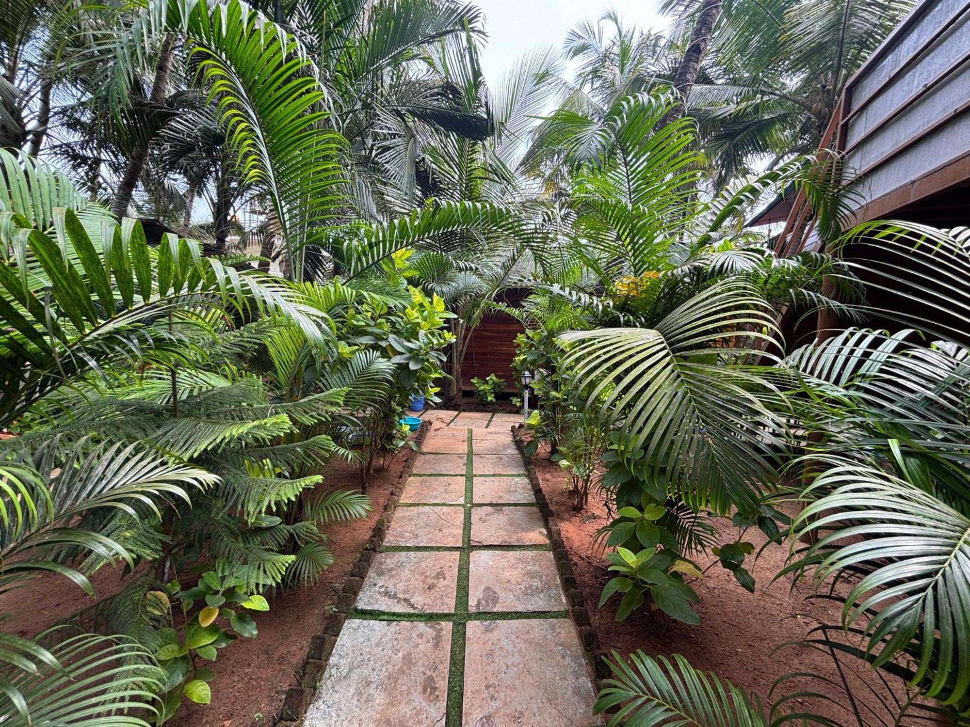 Bungalow Garden View